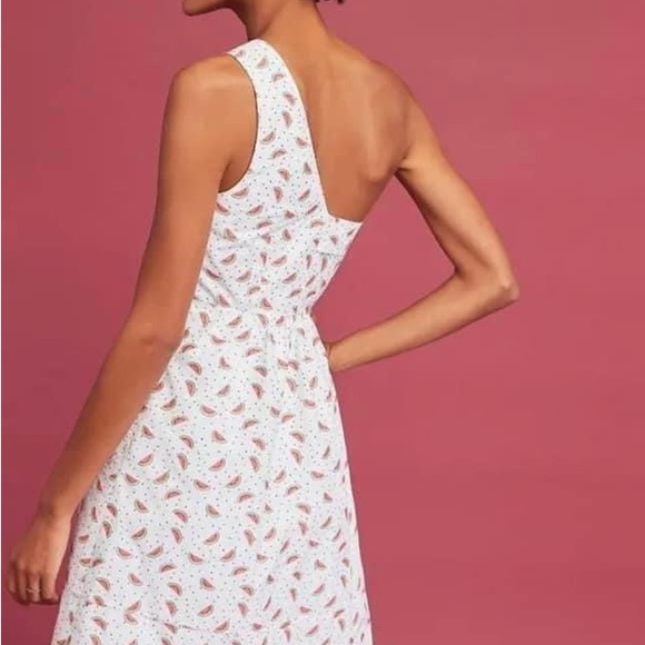 NWT HD in Paris Anthropologie Parkbound Watermelon Dress Sz 10 - Picture 4 of 7
